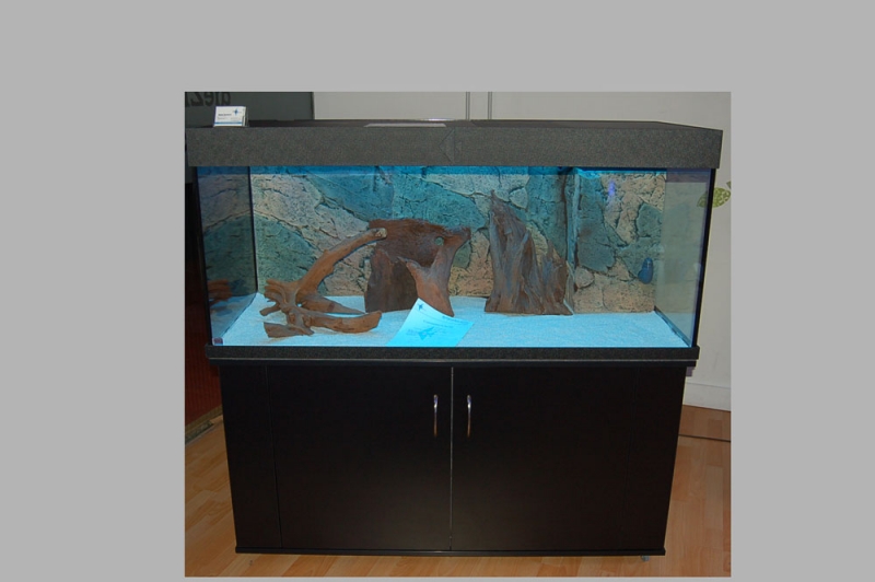Aquarienbau Brillant-Aquarium. //Profiline Rechteck Kombination