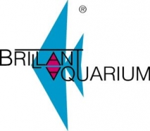 Brillant Aquarium 150x50x60 Rechteck